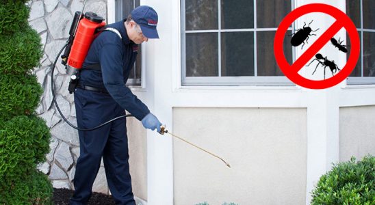 Sultandağı Böcek İlaçlama böcek ilaçlama ve haşere kontrolü — ilaclama-tr.com